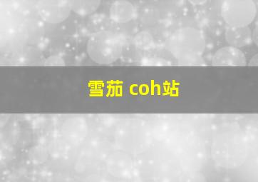 雪茄 coh站